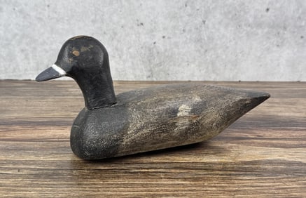 Antique American Coot Wood Duck Decoy