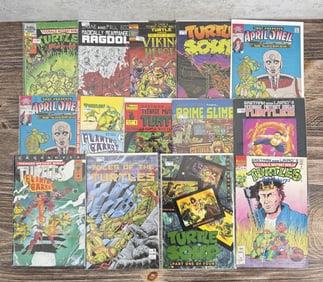 TMNT Teenage Mutant Ninja Turtle Comic Books
