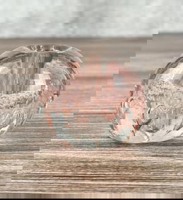 Bubble Art Glass Paperweight