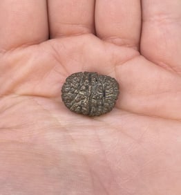 Prophesy Stone Pseudomorph Mineral Specimen