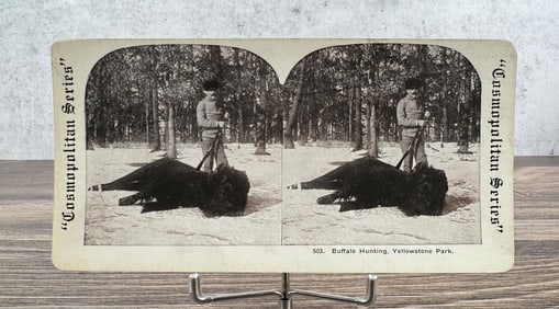 Buffalo Hunting Yellowstone Park Stereoview