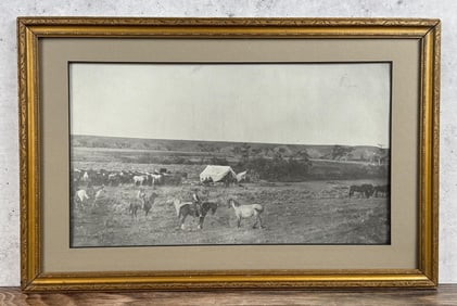 Wyoming Wild Horses Cowboy Photo