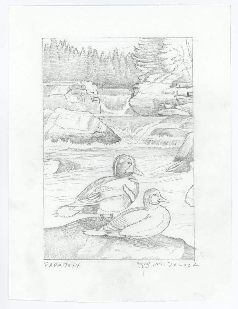 Monte Dolack Pencil Sketch Study Paraduxx (1 of 3)