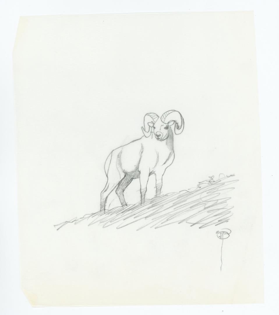 Monte Dolack Bayern Brewing Beer Label Contract (1 of 5)