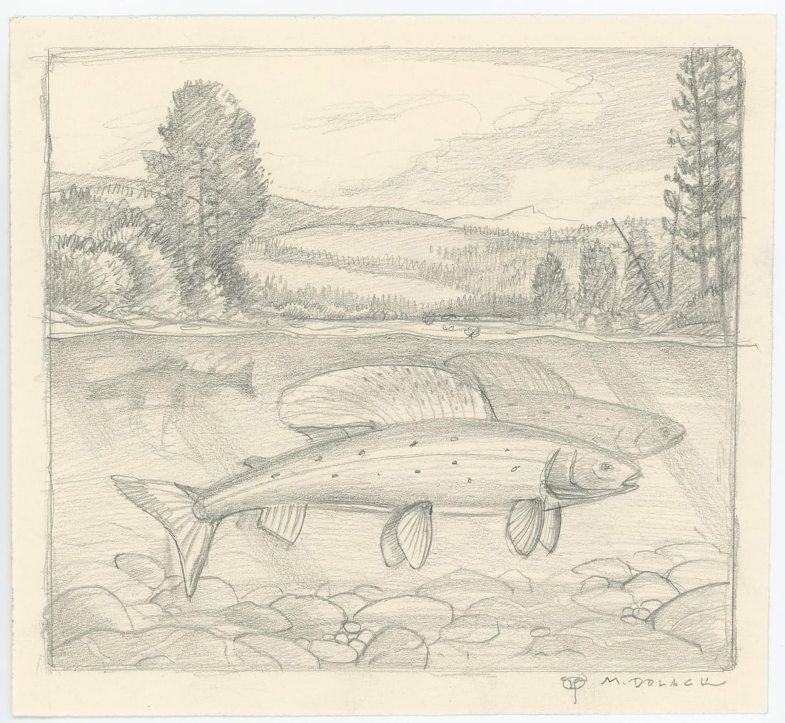 Monte Dolack Montana Grayling Poster Study (1 of 3)
