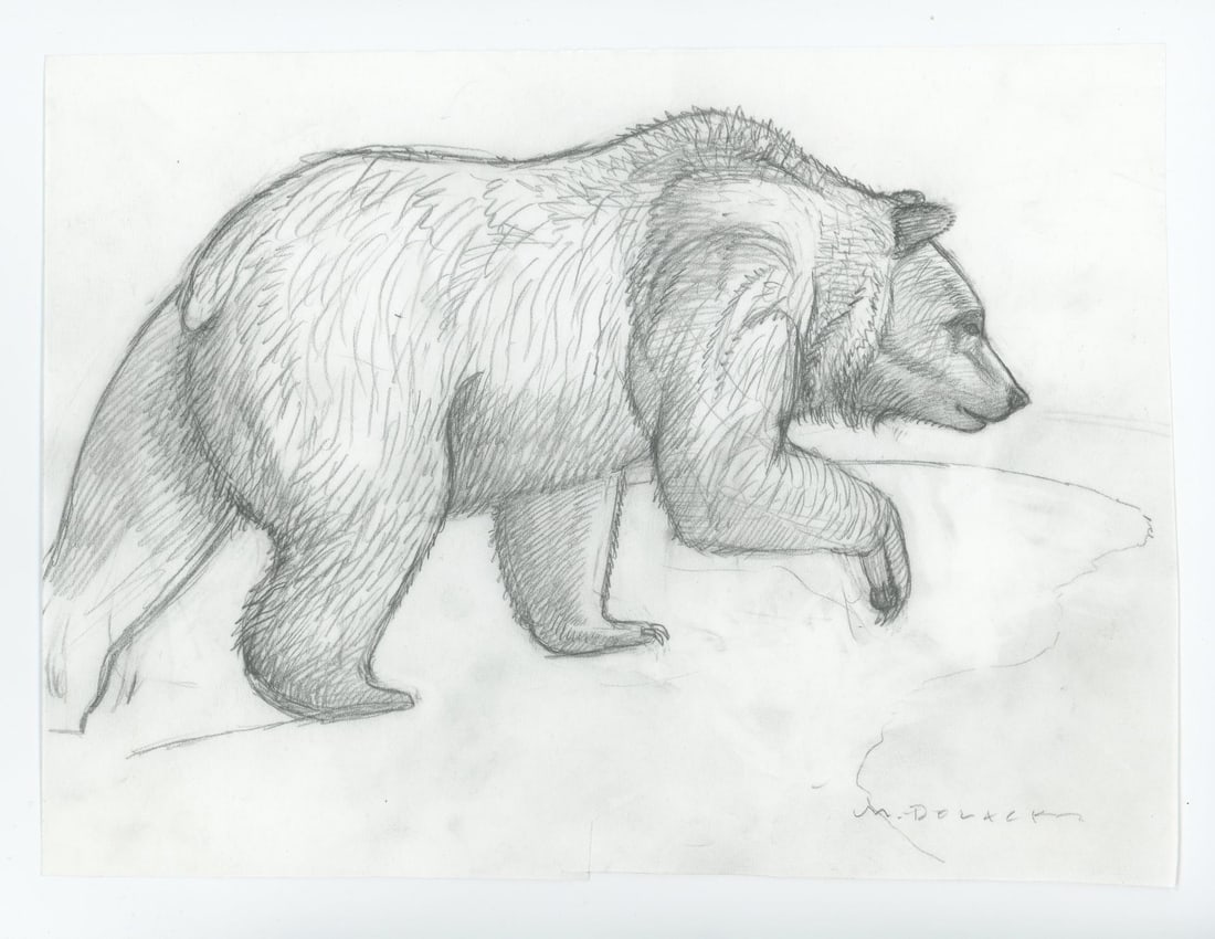 Monte Dolack Grizzly Bear Study (1 of 3)
