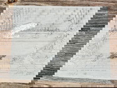 Monte Dolack Big Fish Small Pond Poster Study