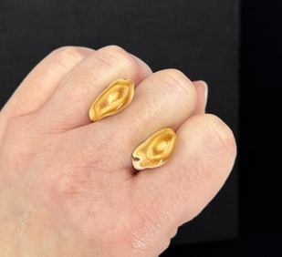 Montana Bull Elk Teeth