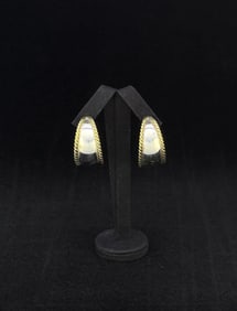 Sterling silver Earrings