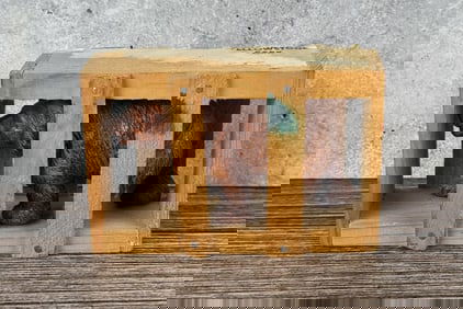 Yellowstone National Park Bear In Cage Souvenir