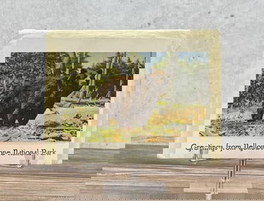 Haynes Yellowstone Park Novelty Card