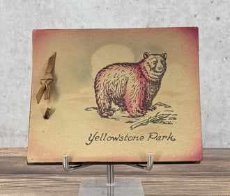 Yellowstone Park Souvenir Photo Album