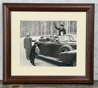 President Roosevelt Yellowstone Park Bear Photo