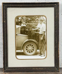 Yellowstone National Park Montana Bear Photo