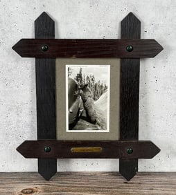 Yellowstone National Park Montana Bear Photo