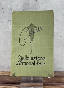 Plants Of Yellowstone National Park