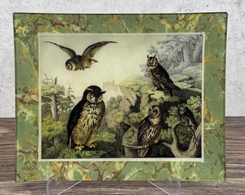 Twigs & Moss Nature Under Glass Owl Tray