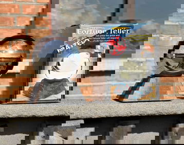 Banning X Rated Talking Fortune Teller