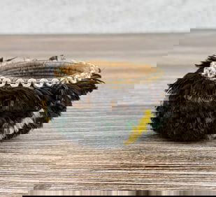 Pomo Native American Indian Feather Gift Basket