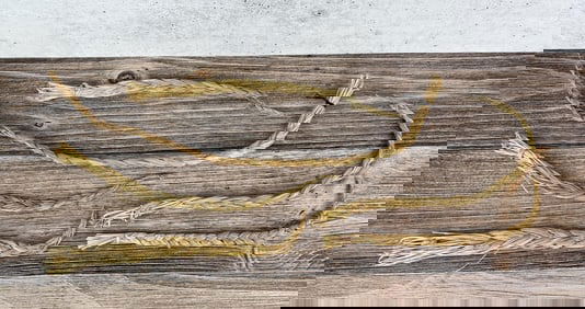 Native American Indian Sweet Grass