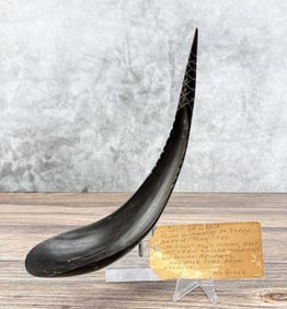 Haida Northwest Coast Native American Horn Spoon