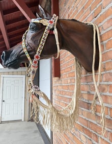 Lakota Sioux Native American Indian Headstall