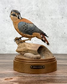Charles Beckendorf American Kestrel Wood Carving