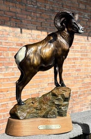 Daniel Parker Mountain Majesty Ram Bronze