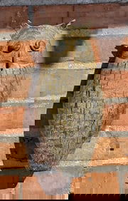 Russ Allen Great Horned Owl Decoy