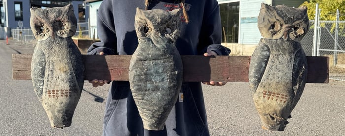 Antique Carnival Owl Shooting Gallery Targets