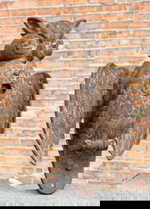 C.W. Parker Owl Shooting Gallery Target