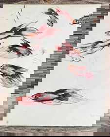 Janet Elizabeth Turner Betta Fish Painting