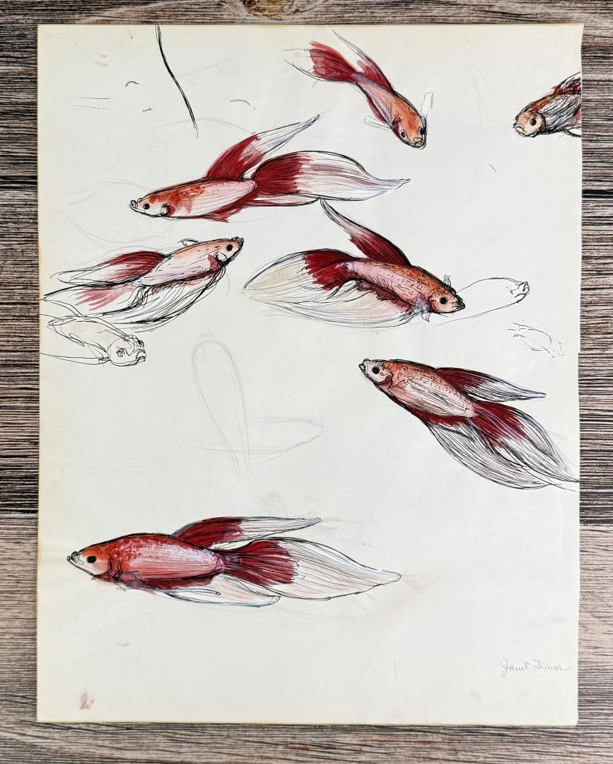 Janet Elizabeth Turner Betta Fish Painting (1 of 4)