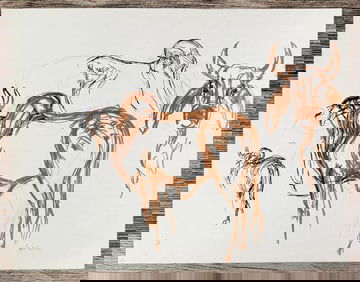 Janet Elizabeth Turner Brahman Bull Sketch