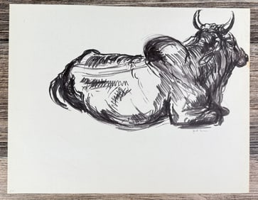 Janet Elizabeth Turner Brahman Bull Sketch