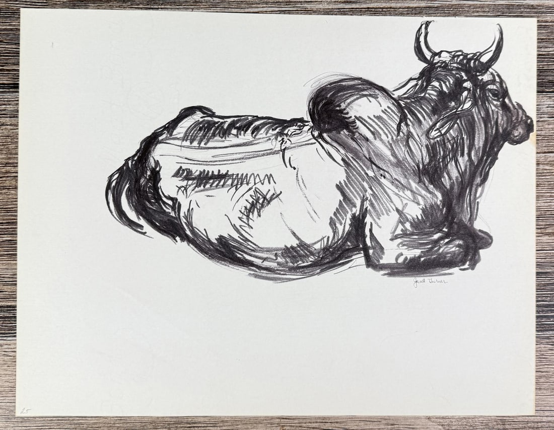 Janet Elizabeth Turner Brahman Bull Sketch (1 of 5)