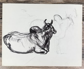 Janet Elizabeth Turner Brahman Bull Sketch