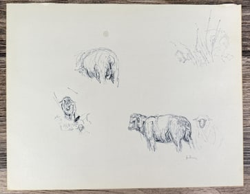 Janet Elizabeth Turner Sheep Sketch