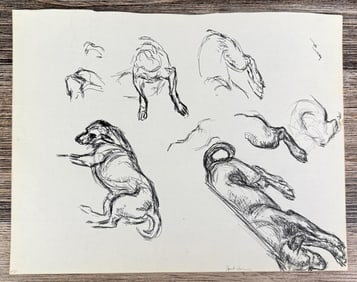 Janet Elizabeth Turner Dog Sketch