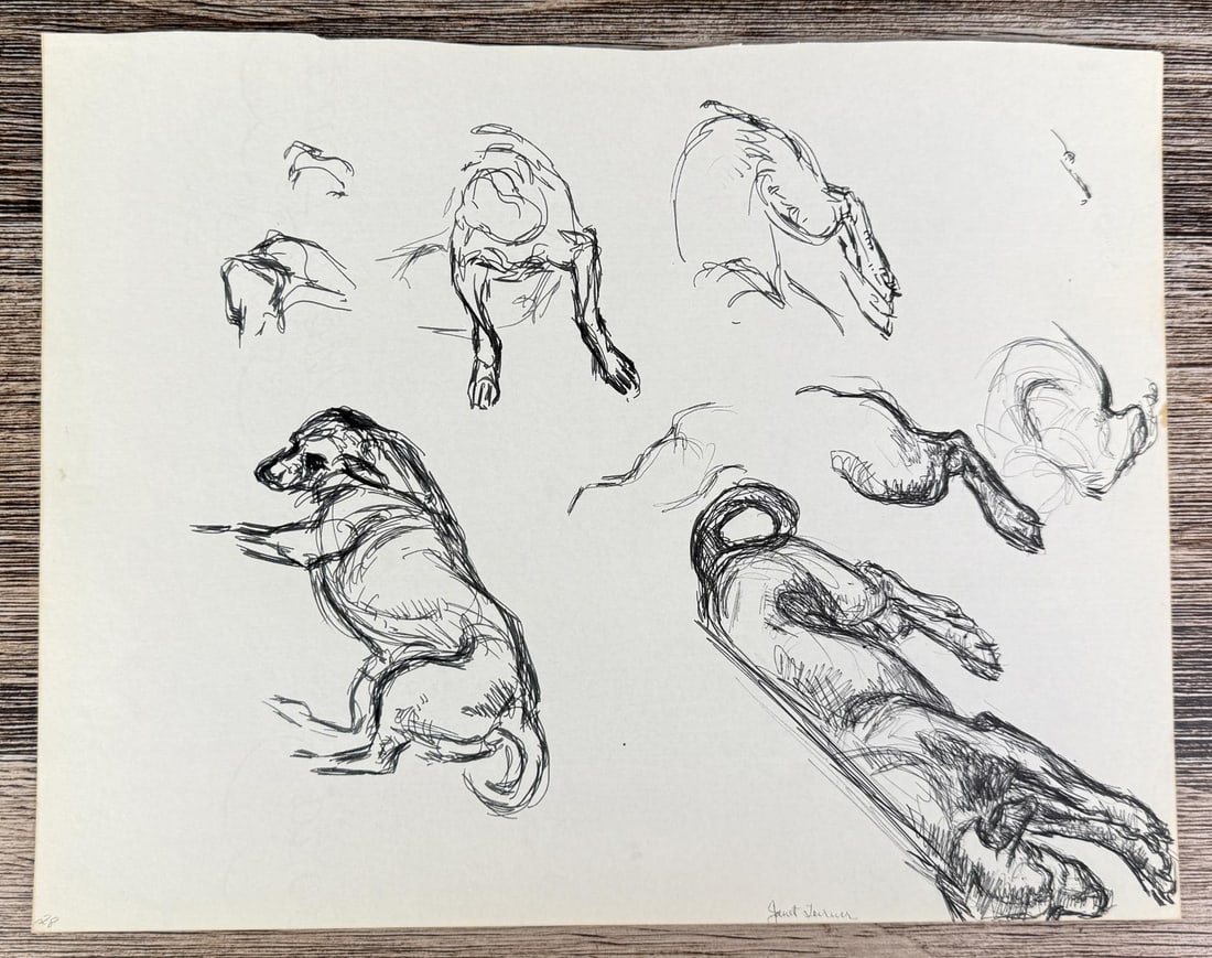 Janet Elizabeth Turner Dog Sketch: 10 3/8" by 13 1/2". Janet Elizabeth Turner (1914 - 1988) was active/lived in California, Kansas. Janet Turner is known for Figure, genre, and landscape painter, printmaking. Janet Elizabeth Turner, pr