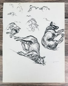 Janet Elizabeth Turner Dog Sketch