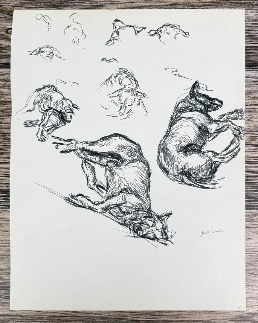 Janet Elizabeth Turner Dog Sketch: 10 3/8" by 13 1/2". Janet Elizabeth Turner (1914 - 1988) was active/lived in California, Kansas. Janet Turner is known for Figure, genre, and landscape painter, printmaking. Janet Elizabeth Turner, pr