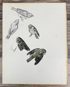 Janet Elizabeth Turner Sparrow Watercolor Painting