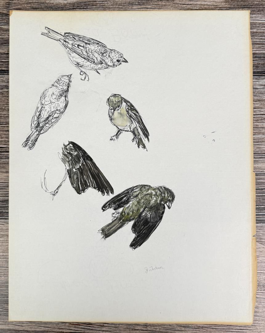 Janet Elizabeth Turner Sparrow Watercolor Painting (1 of 4)