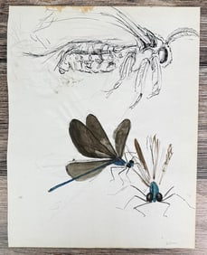 Janet Elizabeth Turner Dragonfly Moth Painting