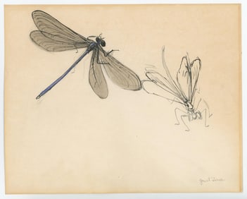 Janet Elizabeth Turner Dragonfly Painting