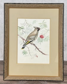 Ron Jenkins Cedar Waxwing Watercolor Painting