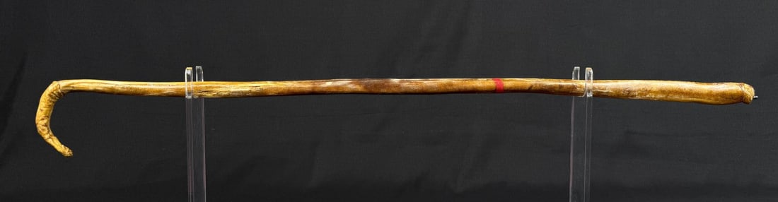 Bull Penis Cane Walking Stick: 31 1/2" long.