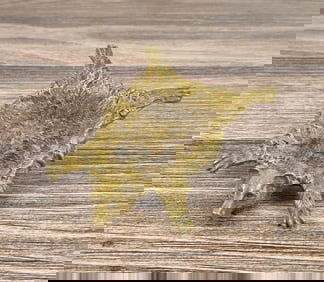 Vienna Bronze Bear Rug Pin Dish