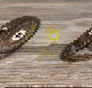 Cold Painted Owl Head Cast Iron Paper Clip